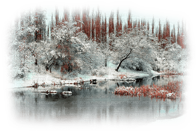 vinter-träd-minou52 - ilmainen png