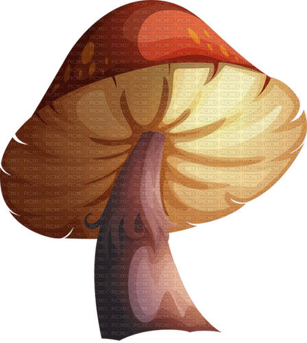 autumn mushroom kikkapink deco - Free PNG