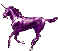 licorne violette - Free animated GIF