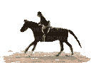 cheval - 免费动画 GIF