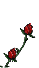 fle fleure rose - Ingyenes animált GIF