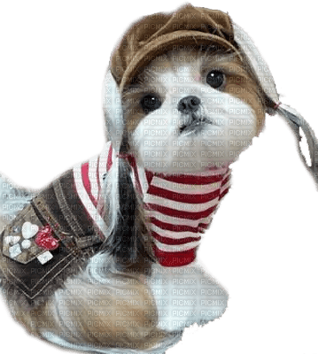 Kaz_Creations Dogs Dog Pup 🐶 - ücretsiz png