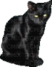 black cat - GIF animé gratuit