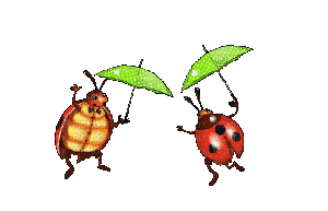 insectes HD - GIF animate gratis