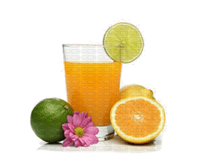 fruit oranges bp - 無料png