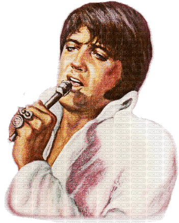 Elvis the King - Free animated GIF