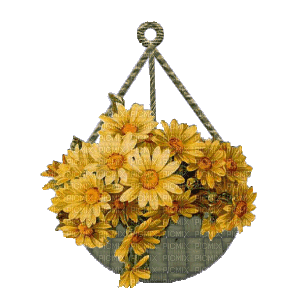fleur_flower_fleurs jaune_yallow flower basket-vase-decoration-tube__Blue DREAM 70 - Gratis geanimeerde GIF