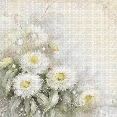 soave background animated vintage texture flowers - Ingyenes animált GIF