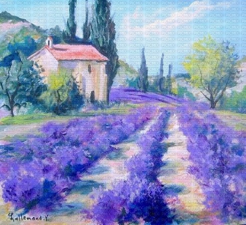 Lavender landscape French province - png ฟรี