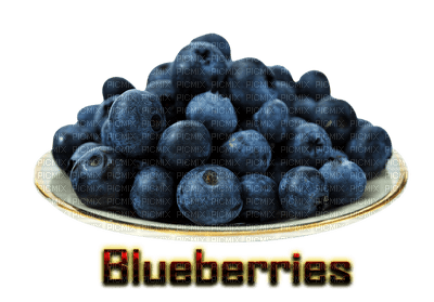 blueberries bp - zadarmo png