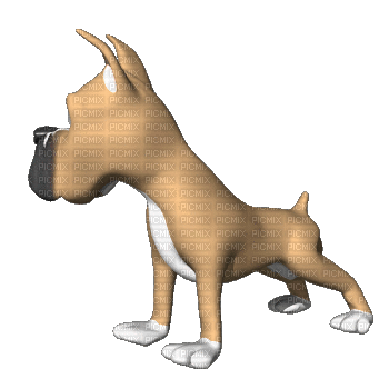 dog - Animovaný GIF zadarmo