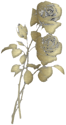 fleur dorée .Cheyenne63 - PNG gratuit
