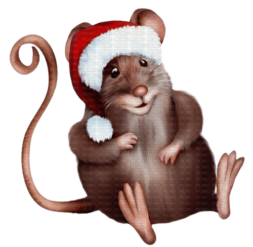 Kaz_Creations Rat-Mouse - безплатен png