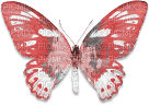soave deco butterfly pink teal - bezmaksas png