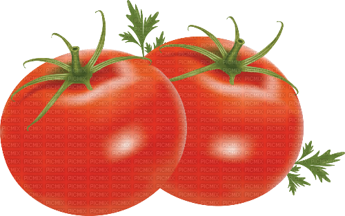 nbl-tomato - zdarma png