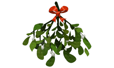 mistletoe bp - gratis png