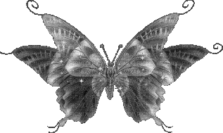 dulcineia8 borboletas - Ilmainen animoitu GIF