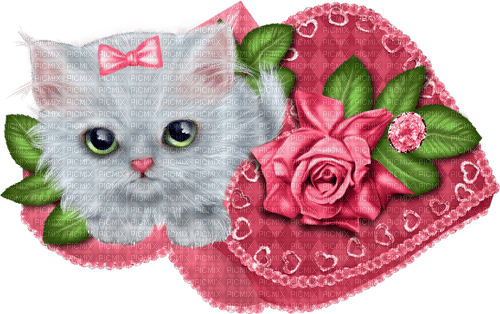 Kitten.Heart.Box.Rose.Gray.Pink - Free PNG