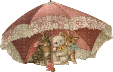 Kaz_Creations Animals Animal Cats Cat Kitten - PNG gratuit
