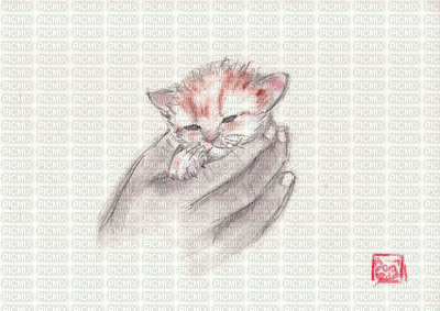 Gato - 無料のアニメーション GIF