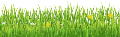 Kaz_Creations Garden-Deco-Grass - фрее пнг