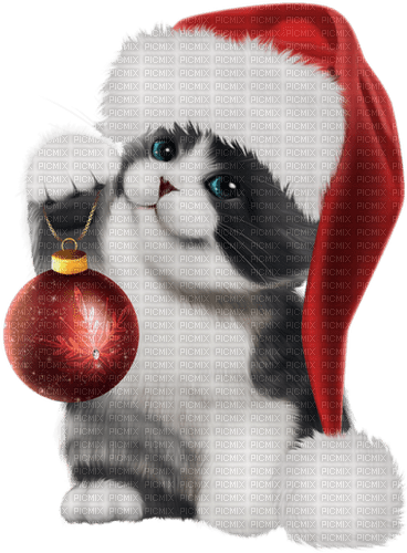 christmas cat by nataliplus - бесплатно png