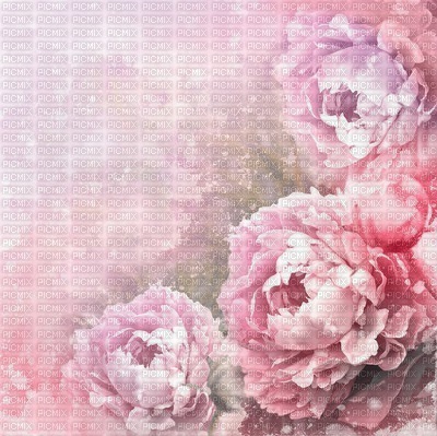 Kaz_Creations Deco Flowers  Backgrounds Background Colours - фрее пнг