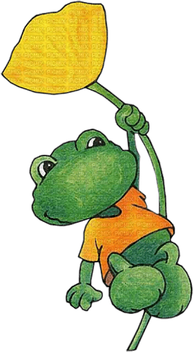 frog by nataliplus - png grátis