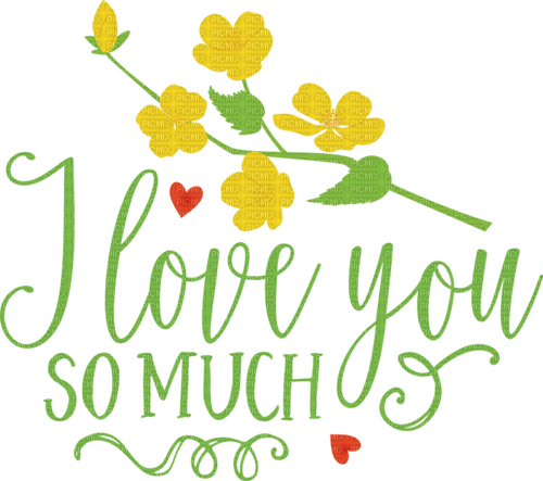 Kaz_Creations Text--I-Love-You-So-Much - png grátis