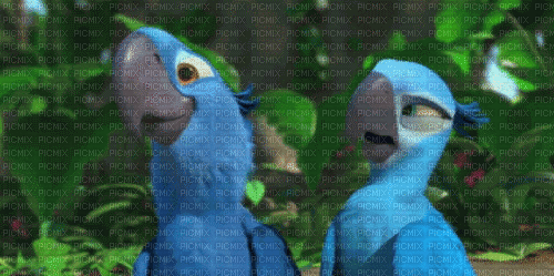 Rio Blue - GIF animado grátis