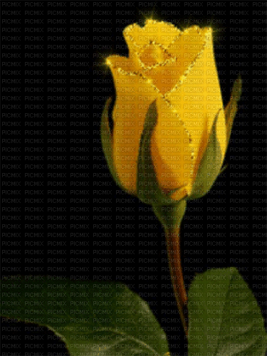 MMarcia gif rosa amarela Yellow - Animovaný GIF zadarmo