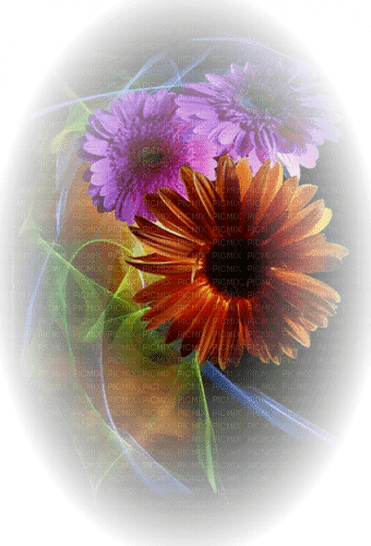 Blumen/Flowers - ücretsiz png