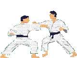 judo - Бесплатный анимированный гифка
