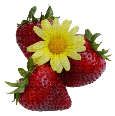 Strawberry Yellow Red Green Flower - Bogusia - besplatni png