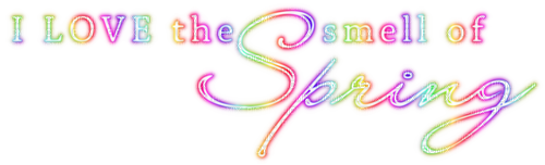I Love the smell of Spring.Text.Rainbow - besplatni png