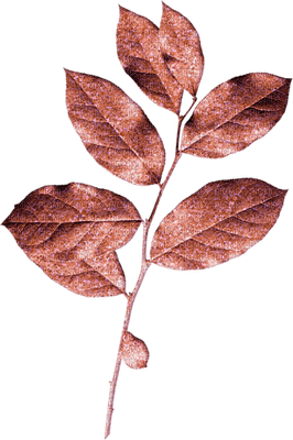 Kaz_Creations Deco Leaves Leafs Knights Tale - Free PNG