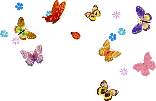Papillons - ingyenes png