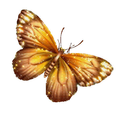 butterfly by nataliplus - GIF animado gratis