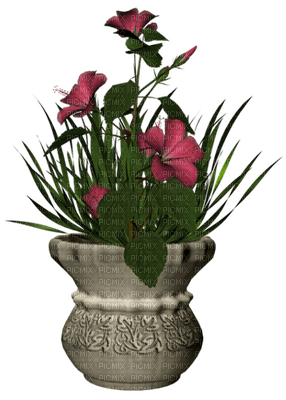 vase - kostenlos png