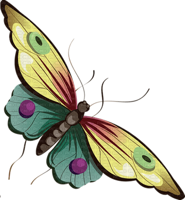 Kaz_Creations Butterflies Butterfly - ingyenes png