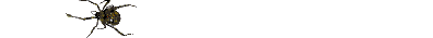 araignée - Darmowy animowany GIF