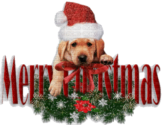 Kaz_Creations Animals Christmas Dog Pup Text Merry Christmas - GIF animado gratis