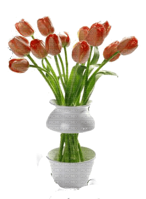 Kaz_Creations Deco Flower Flowers Colours Plant Vase - png ฟรี