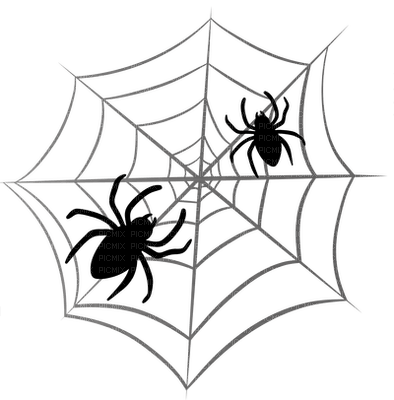 spiderweb - besplatni png