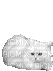 белое пушистое - Darmowy animowany GIF