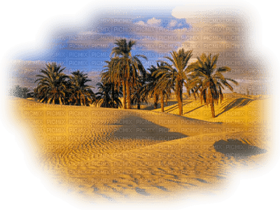 desierto - darmowe png