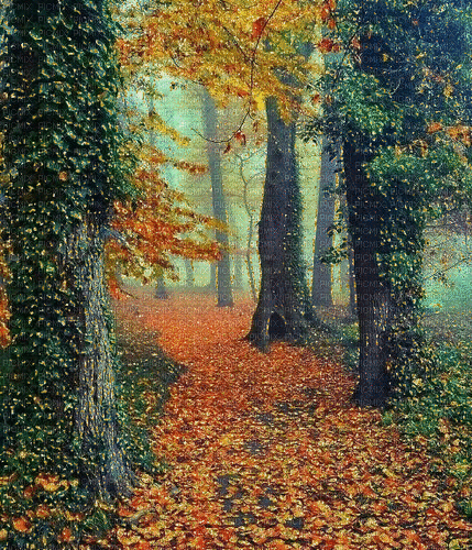 Rena Hintergrund Forest Autumn Herbst glitter - Animovaný GIF zadarmo