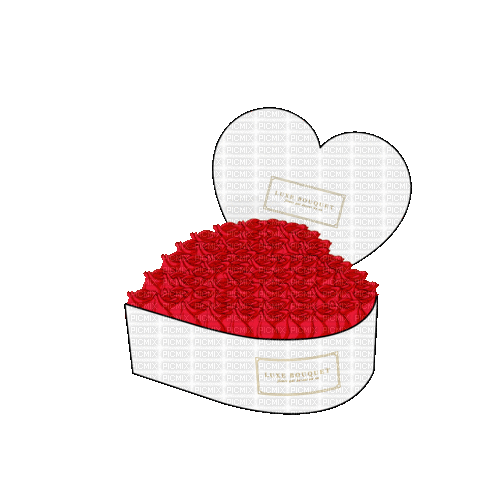 Red Rose Box Heart - Bogusia - GIF animado gratis