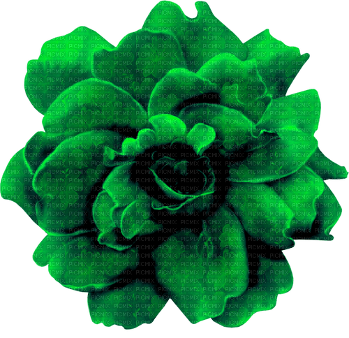 Flower.Green - 免费PNG