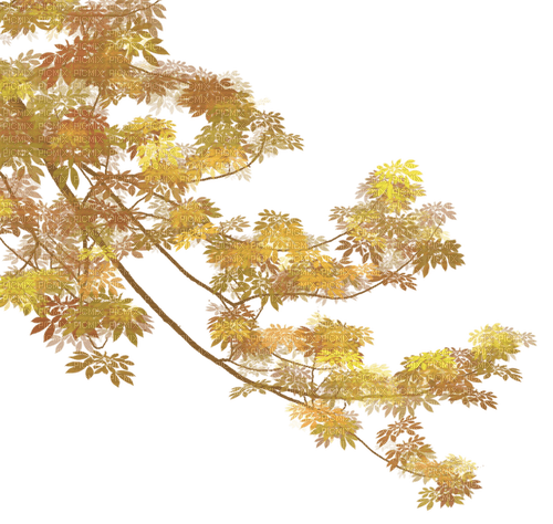 Autumn.Automne.Branche.Branch.Victoriabea - png gratuito